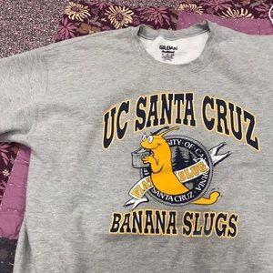 UC Santa Cruz vintage banana slugs pullover